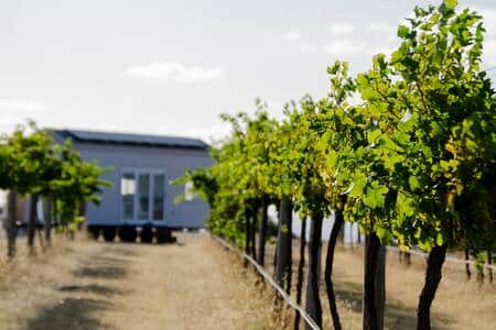 Hounds Run Vineyard Tiny House view from the Vineyard