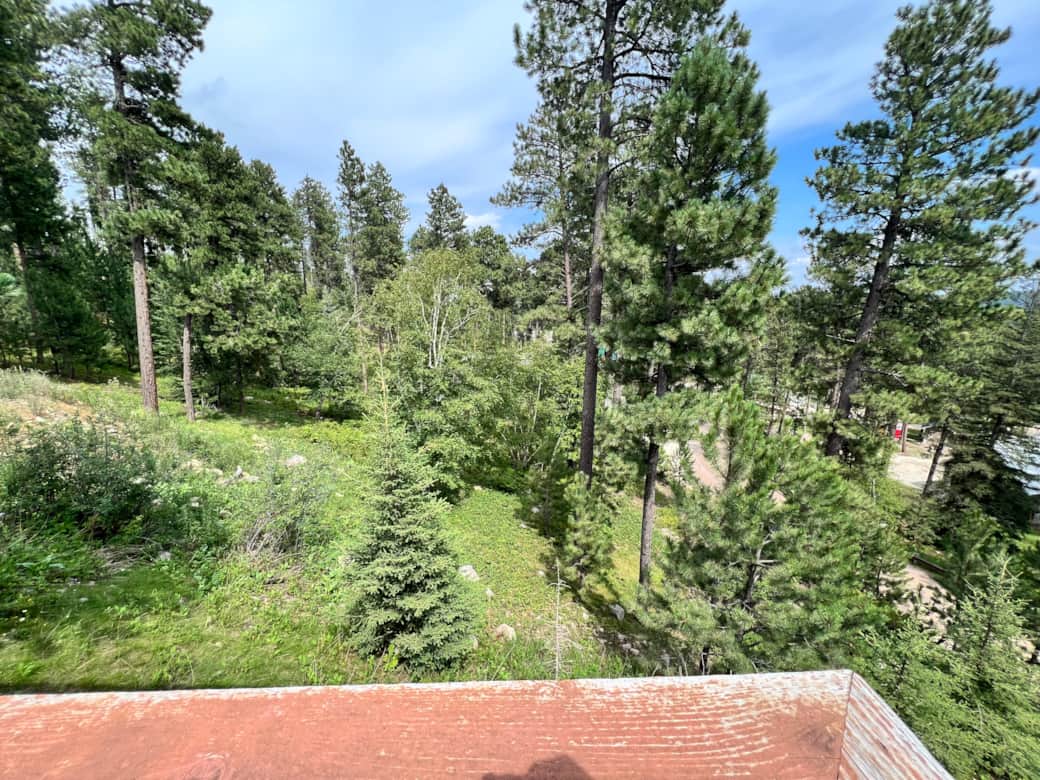 trees surround the cabin