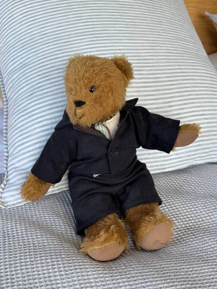 A bear from Casa Playa de los osos