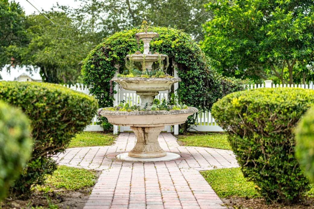 Succulent Fountain