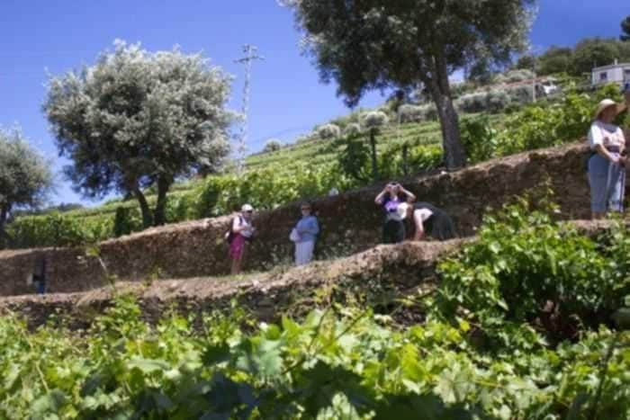 touristes en visite 0m