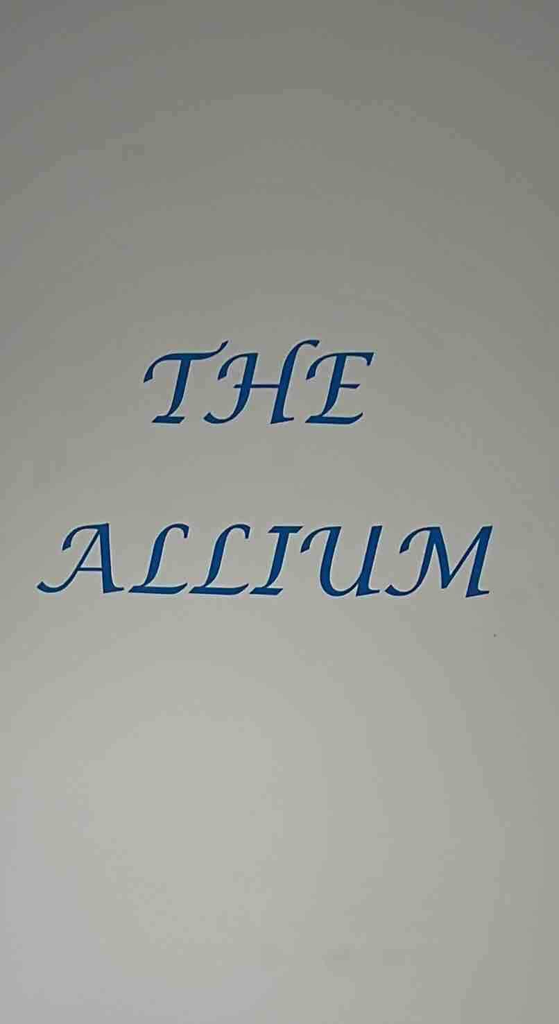 Welcome to the Allium apartment 