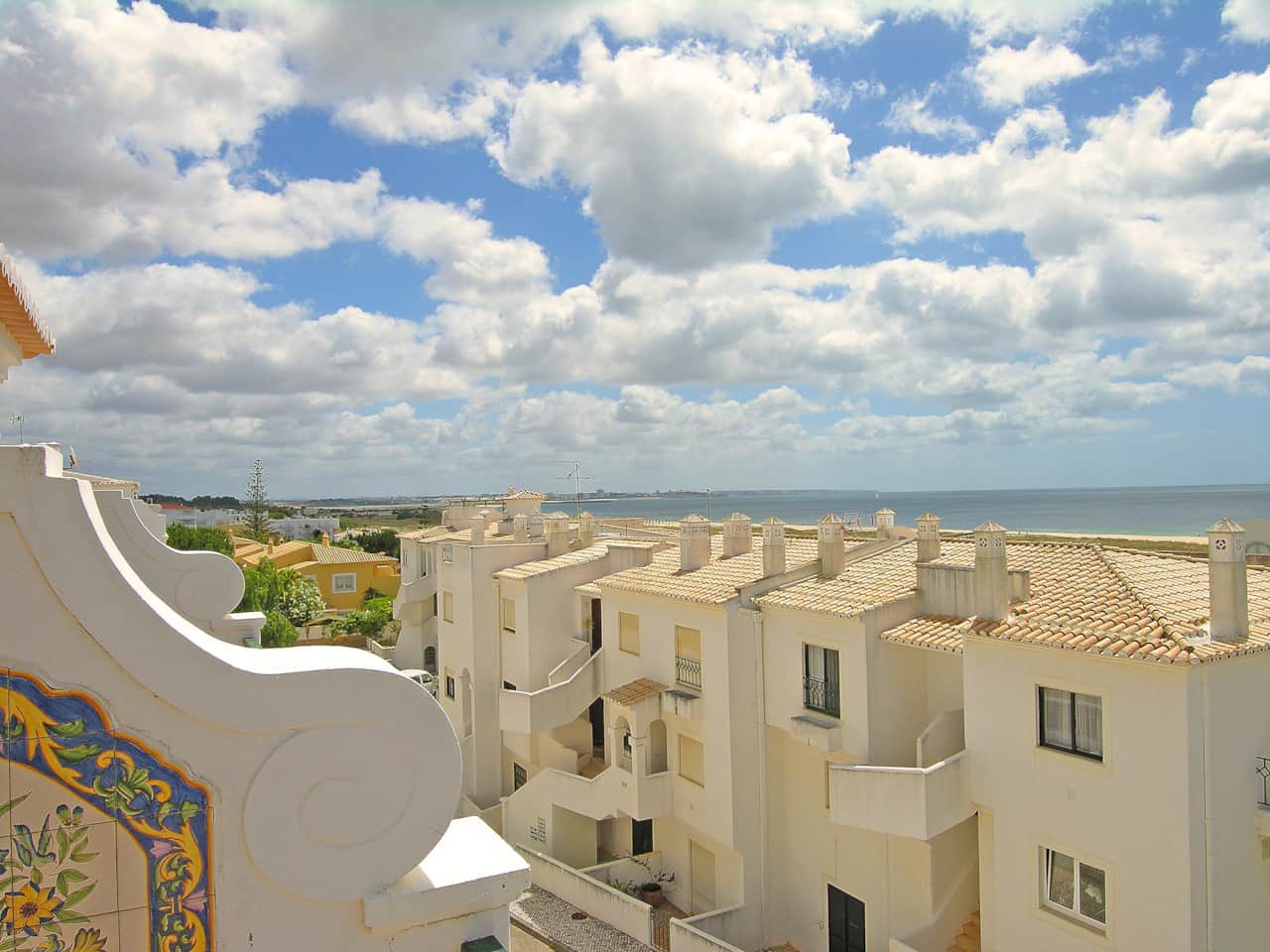 Pinheiro_3