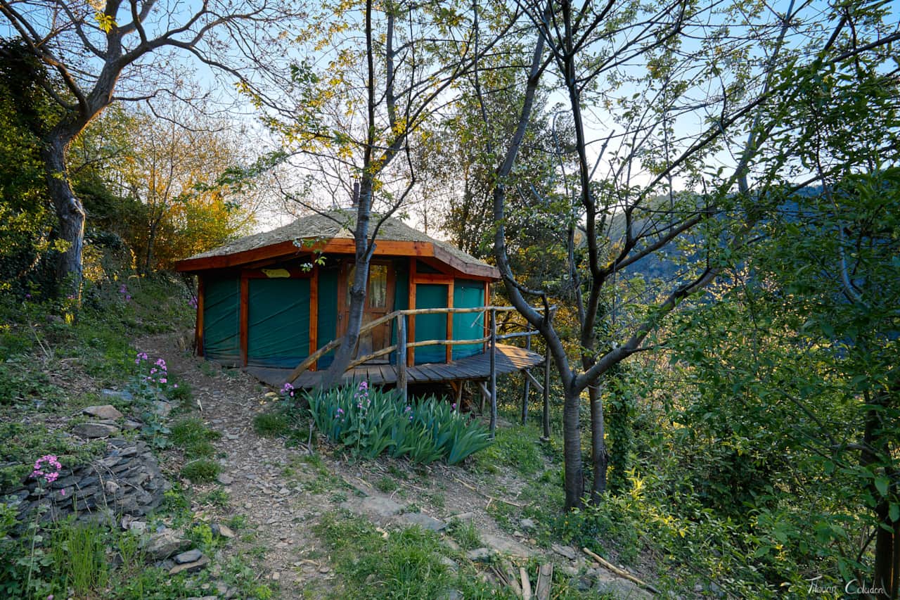 Yurt