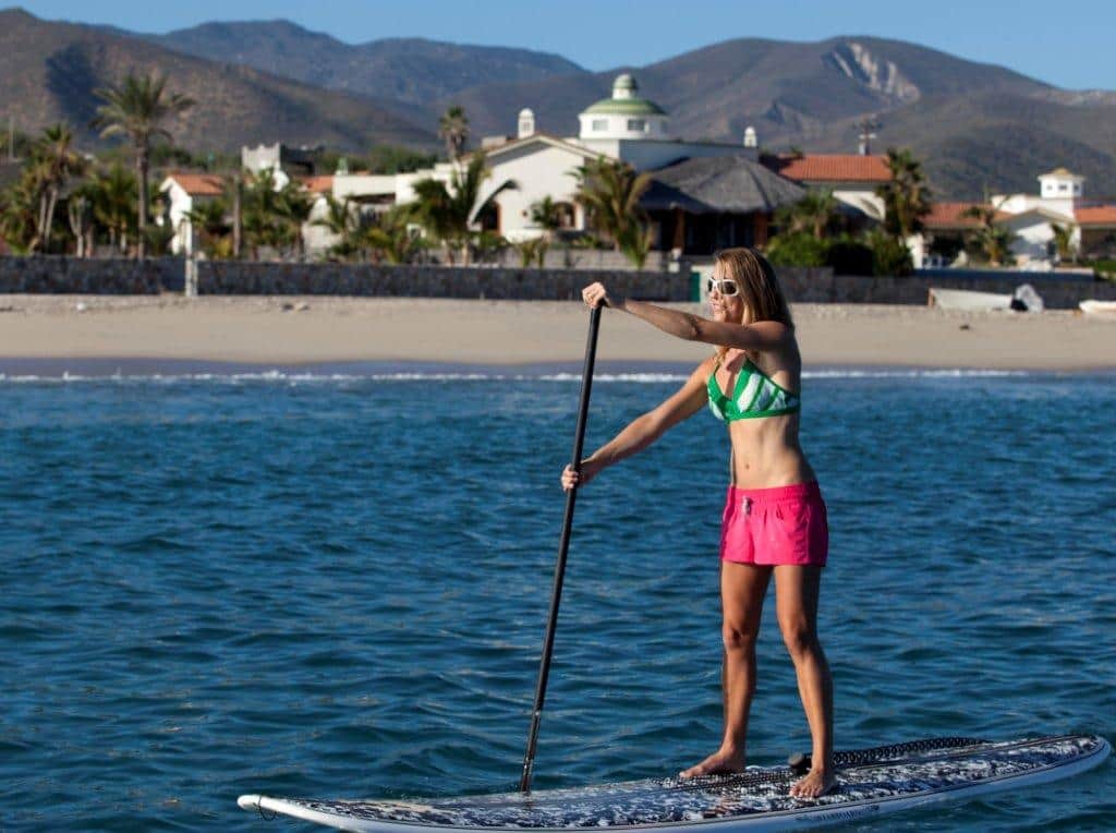 Paddle board with Mobula Rays, Turtles and Whales