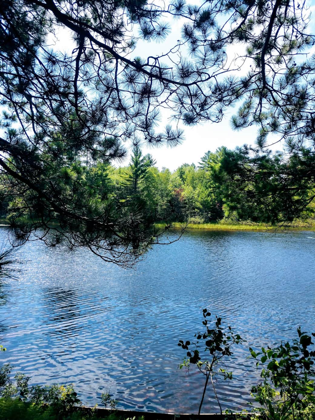 200' Frontage on the Manitowish Chain of Lakes