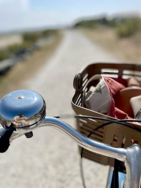 Bike on trail.jpg