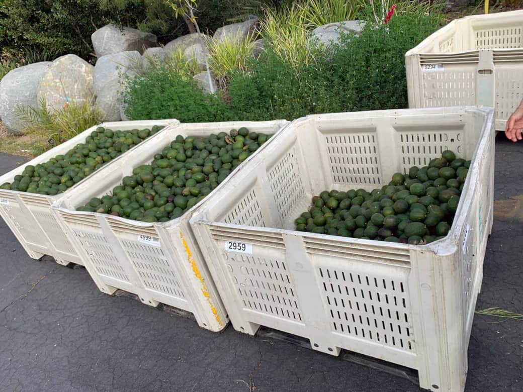 9a5329d0 6b65 480f aa93 686177f7ad7f 9a5329d0 6b65 480f aa93 686177f7ad7f