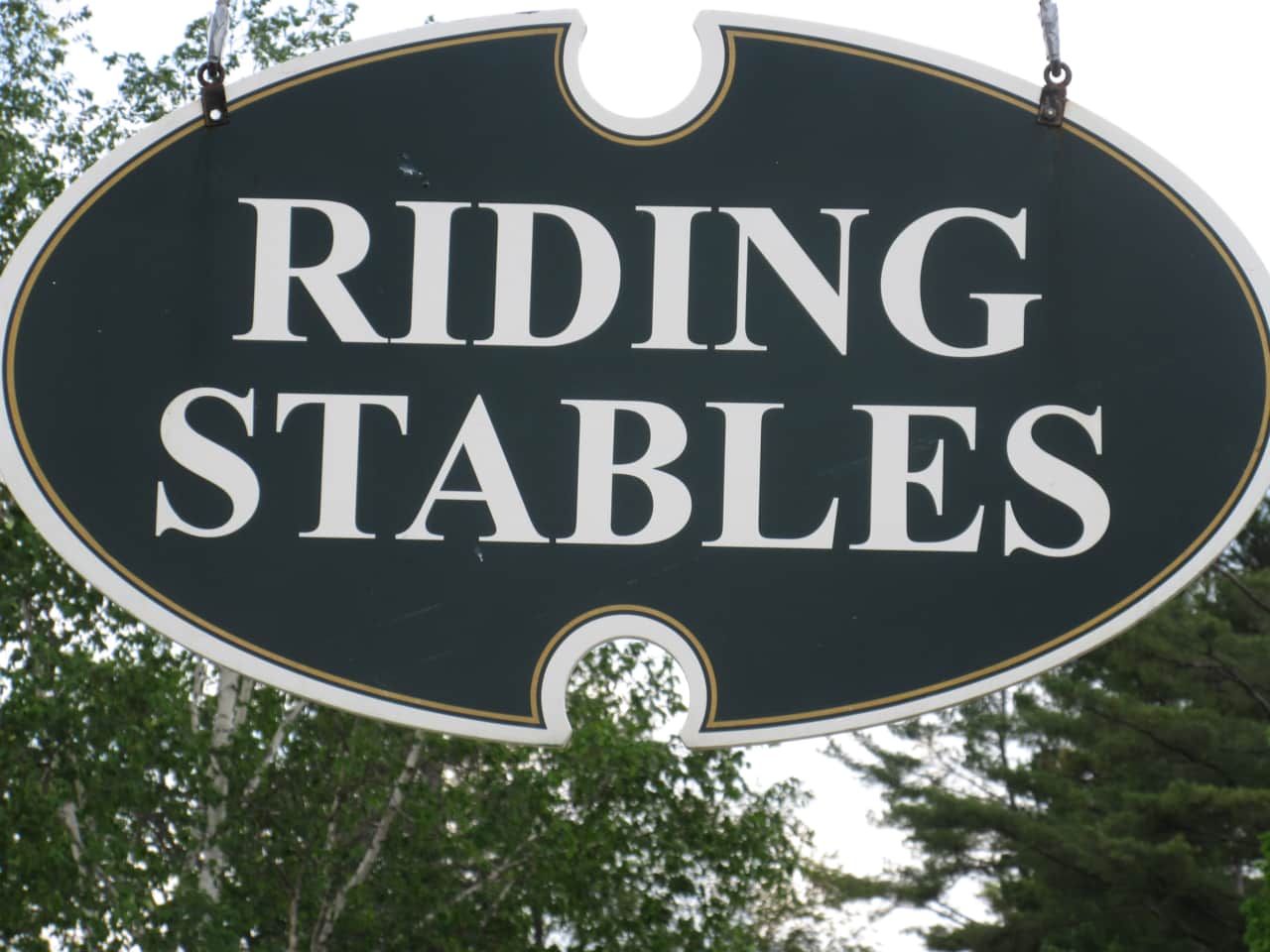 Franconia Notch Stables