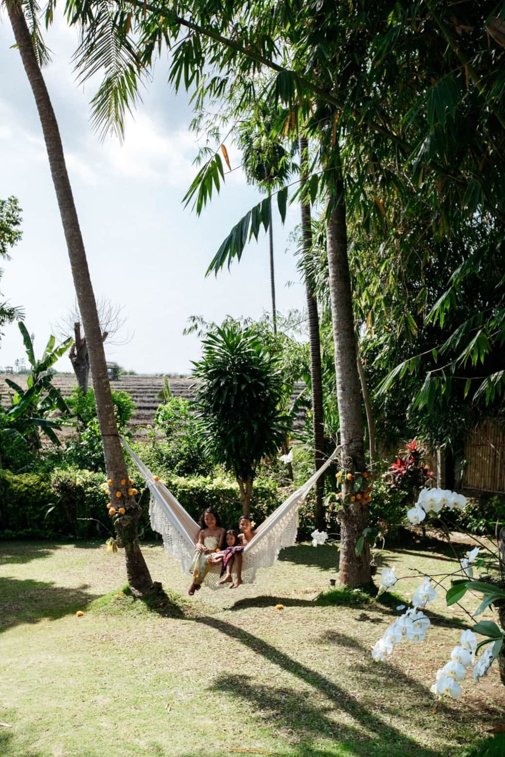 garden with rice field view