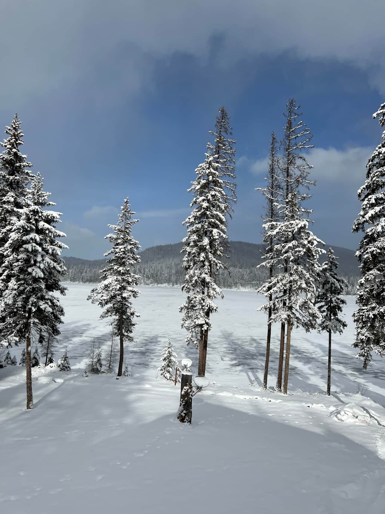 Montana Pic