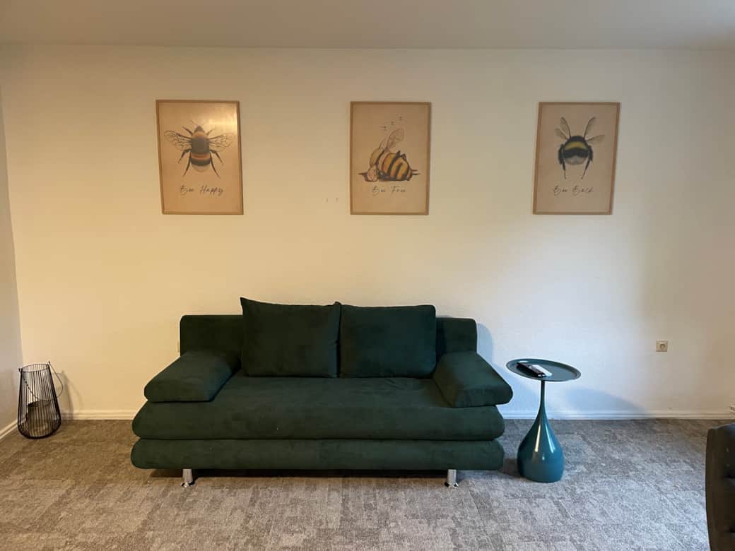 Schlafsofa im Wohnzimmer  Schlafsofa im Wohnzimmer