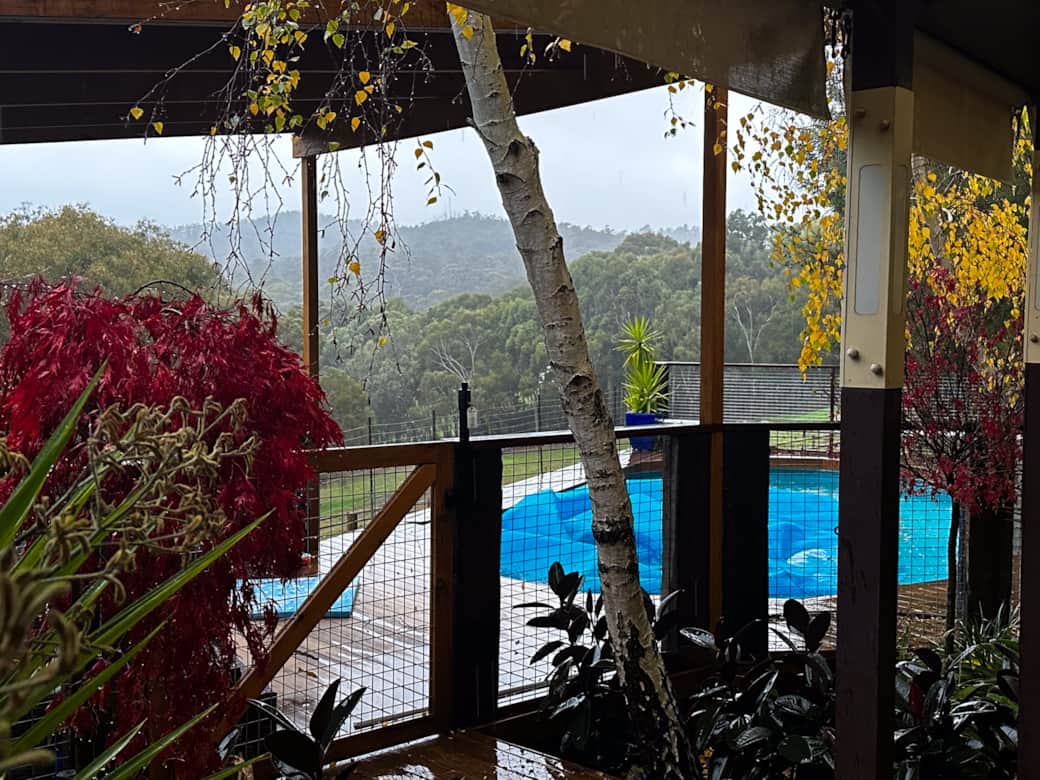 Misty morning, pool deck