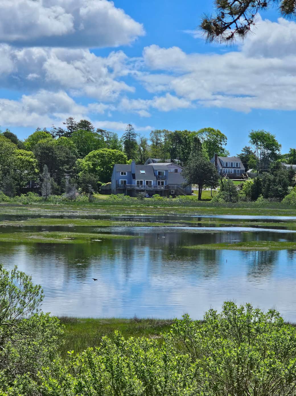 The Rear View Overlooking Horsefoot Cove