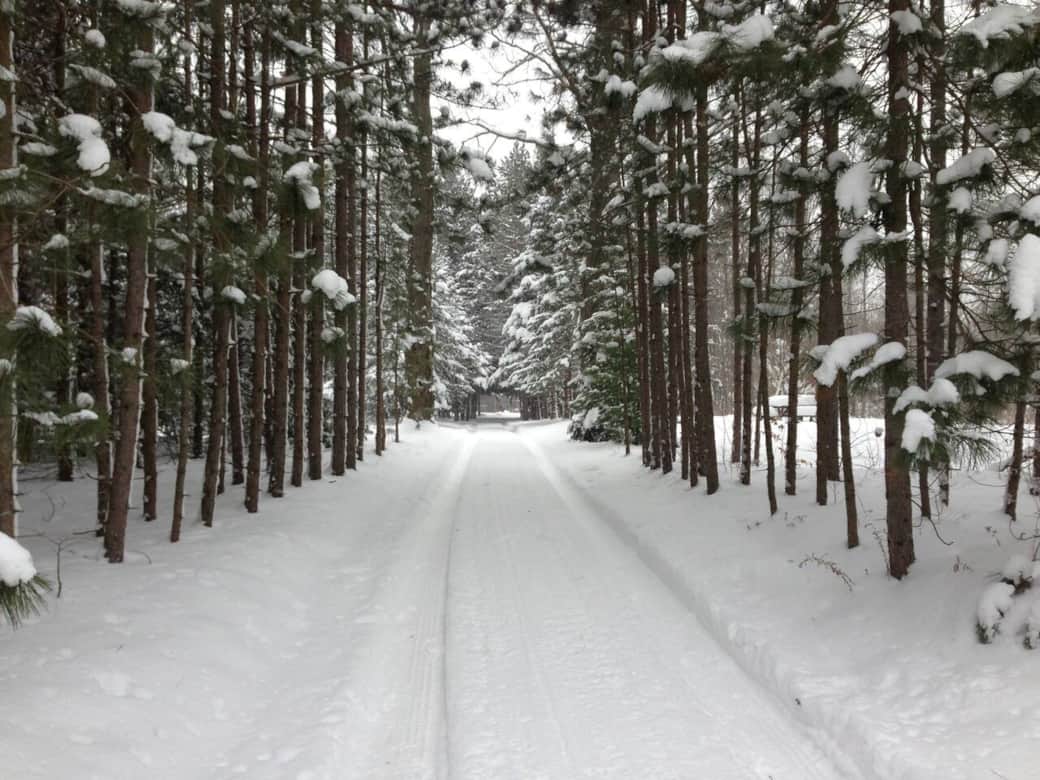 Winter view from the property entrance