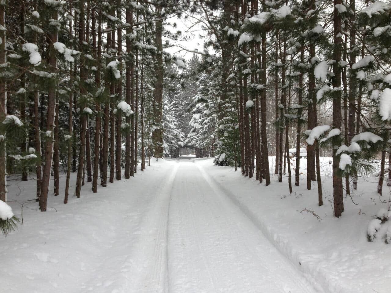 Winter view from the property entrance