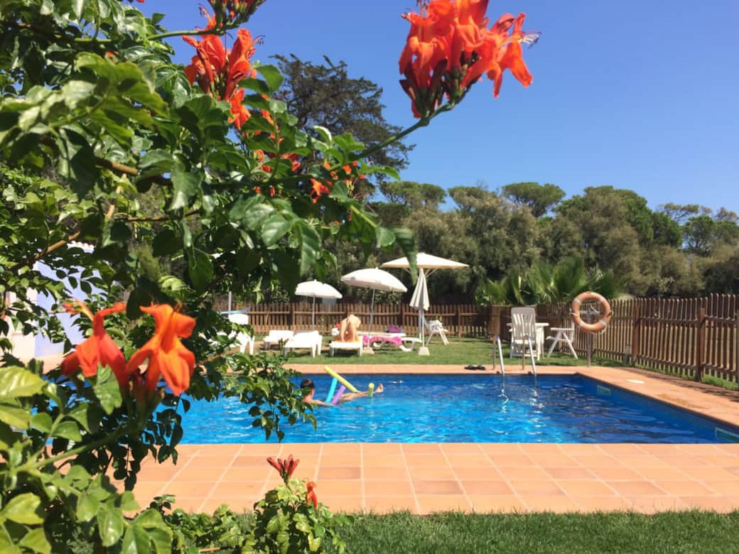 apartamento-la-palmera-1-villas-coll-sant-marti-empuries-costa-brava-catalunya apartamento-la-palmera-1-villas-coll-sant-marti-empuries-costa-brava-catalunya