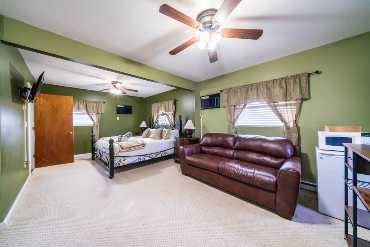 Suite 7 (King Bed & Pull out Couch)