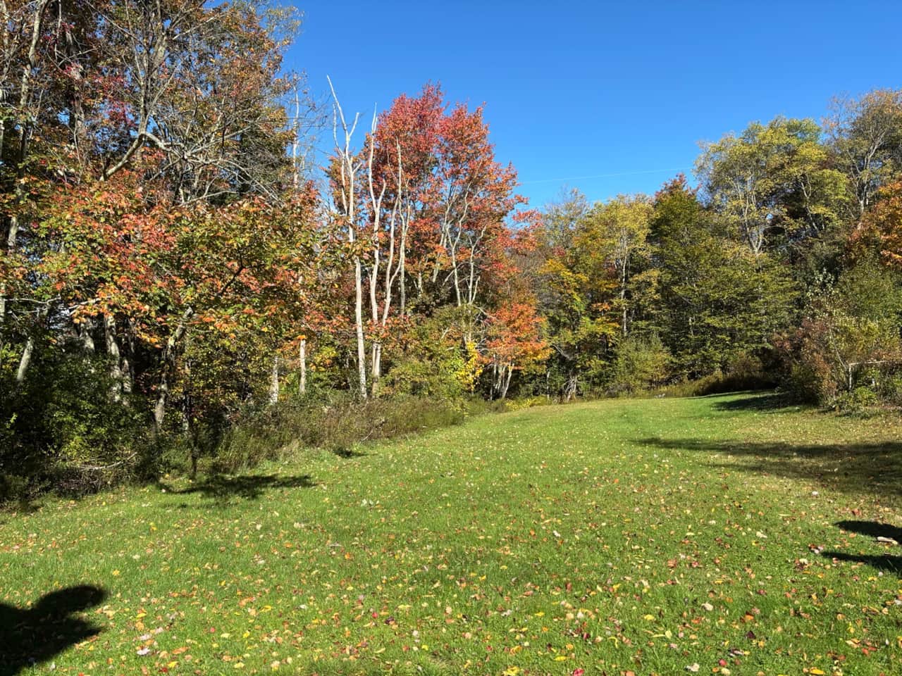 Dutch Hill Retreat – Fall Backyard