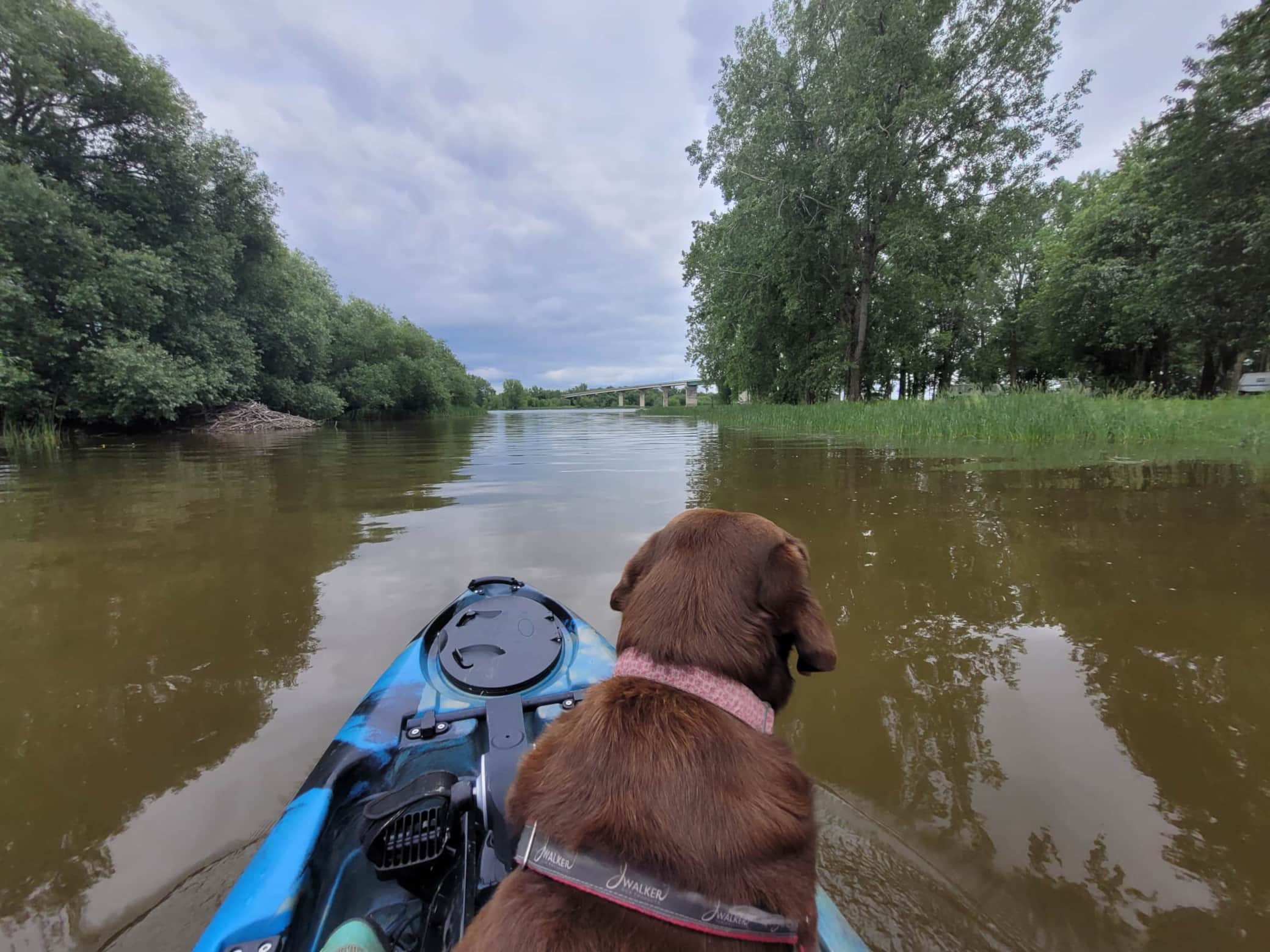 Riviere Lacolle à proximite.