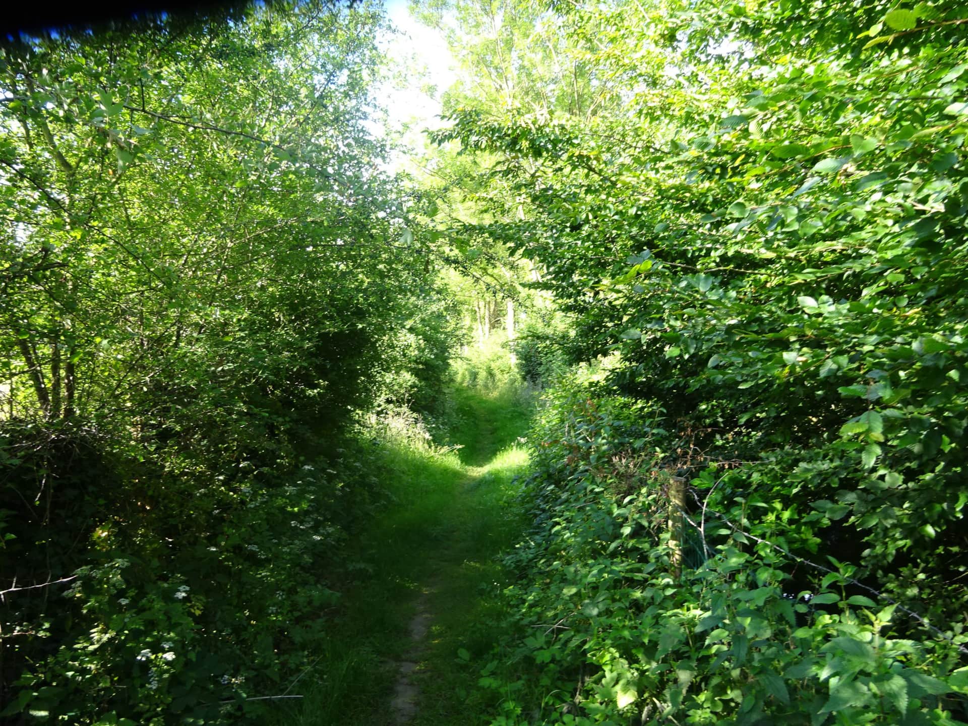 RANDONNEE DANS LE VILLAGE