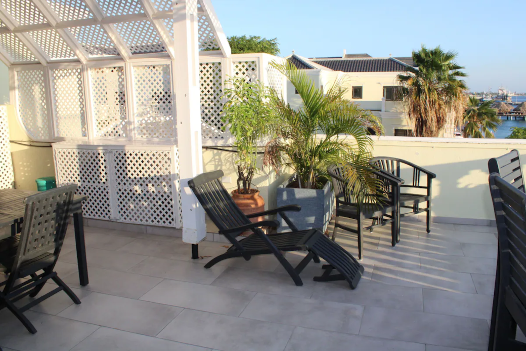 Shade and privacy on the patio , even a palm tree