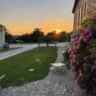 Rental image