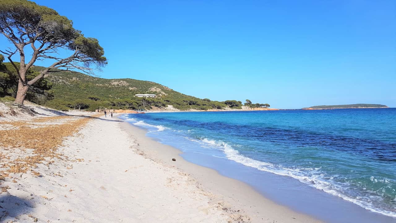 La spiaggia di Palombaggia.