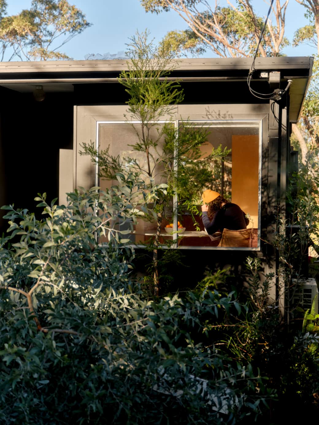 Shelter Malua 117