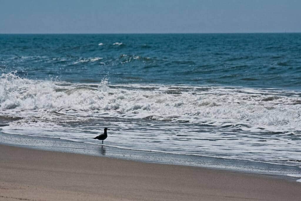 Beautiful Mandalay shores beach a short walk down the road.