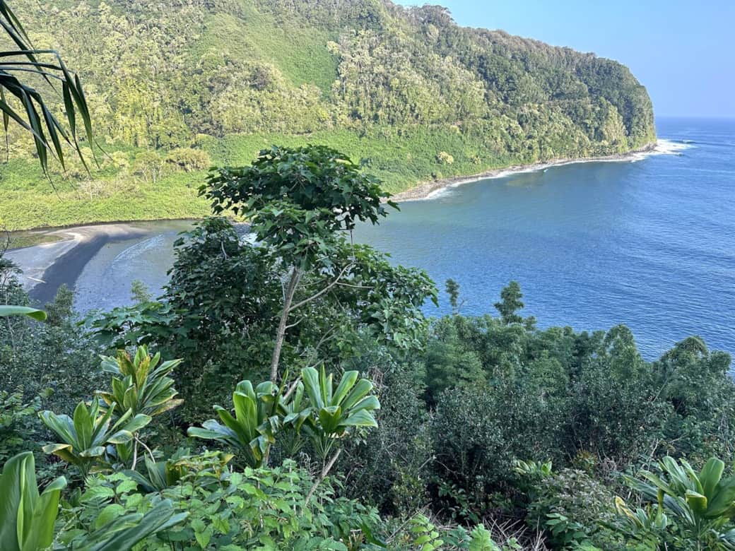 On the road to Hana