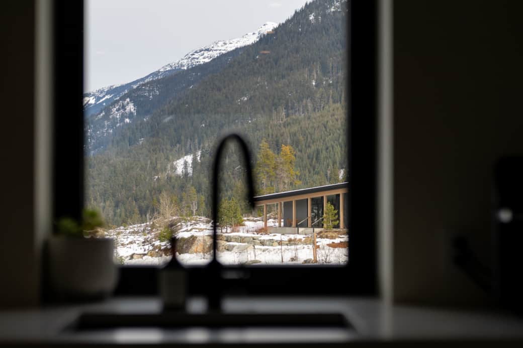 Kitchen window