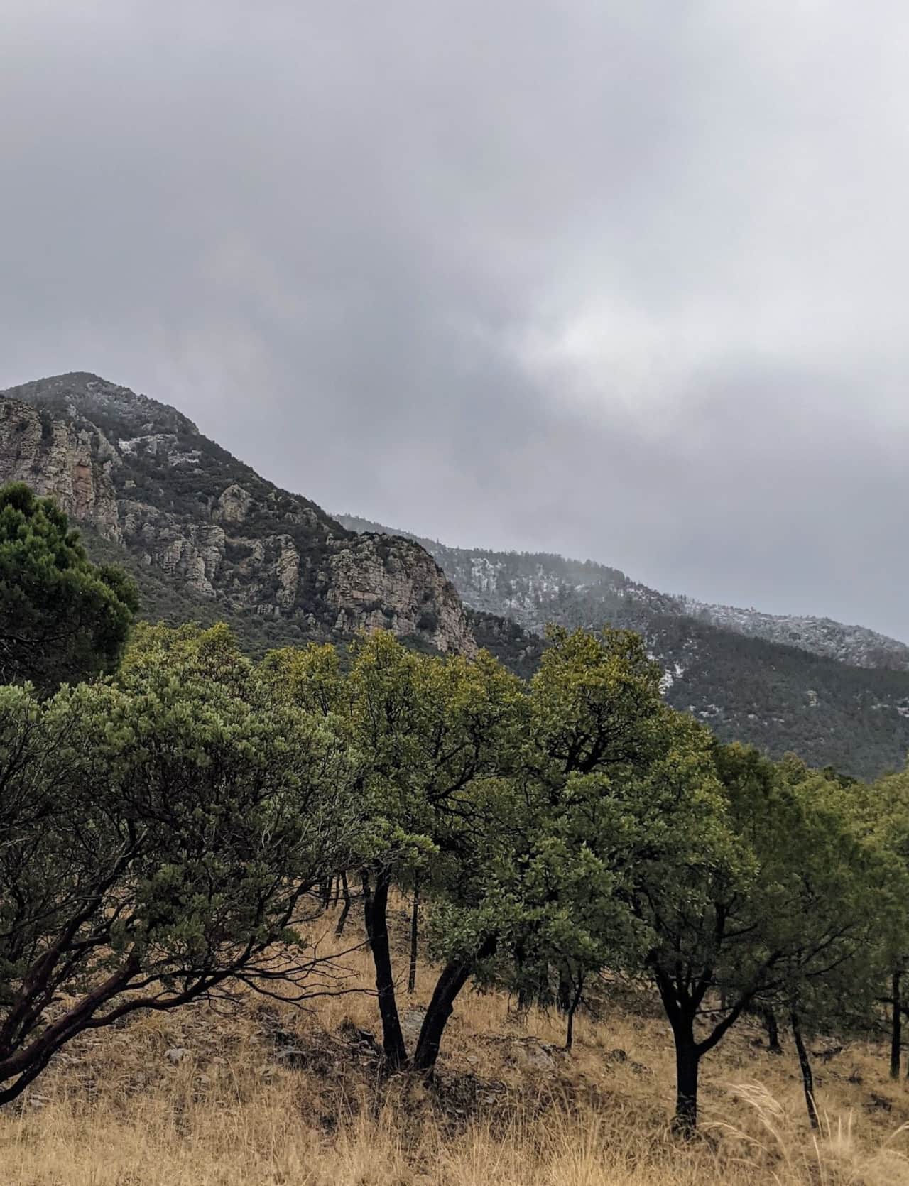 Snow on Ramsey Canyon Cliffs from Majestic View trail.