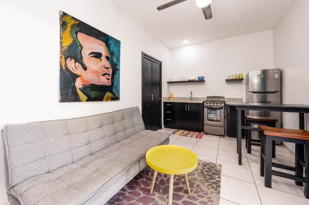 Coconut web -26 Coconut web -26