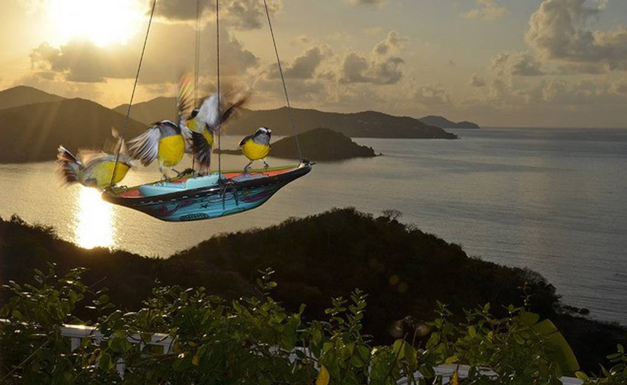 Banana quits greet you every morning 