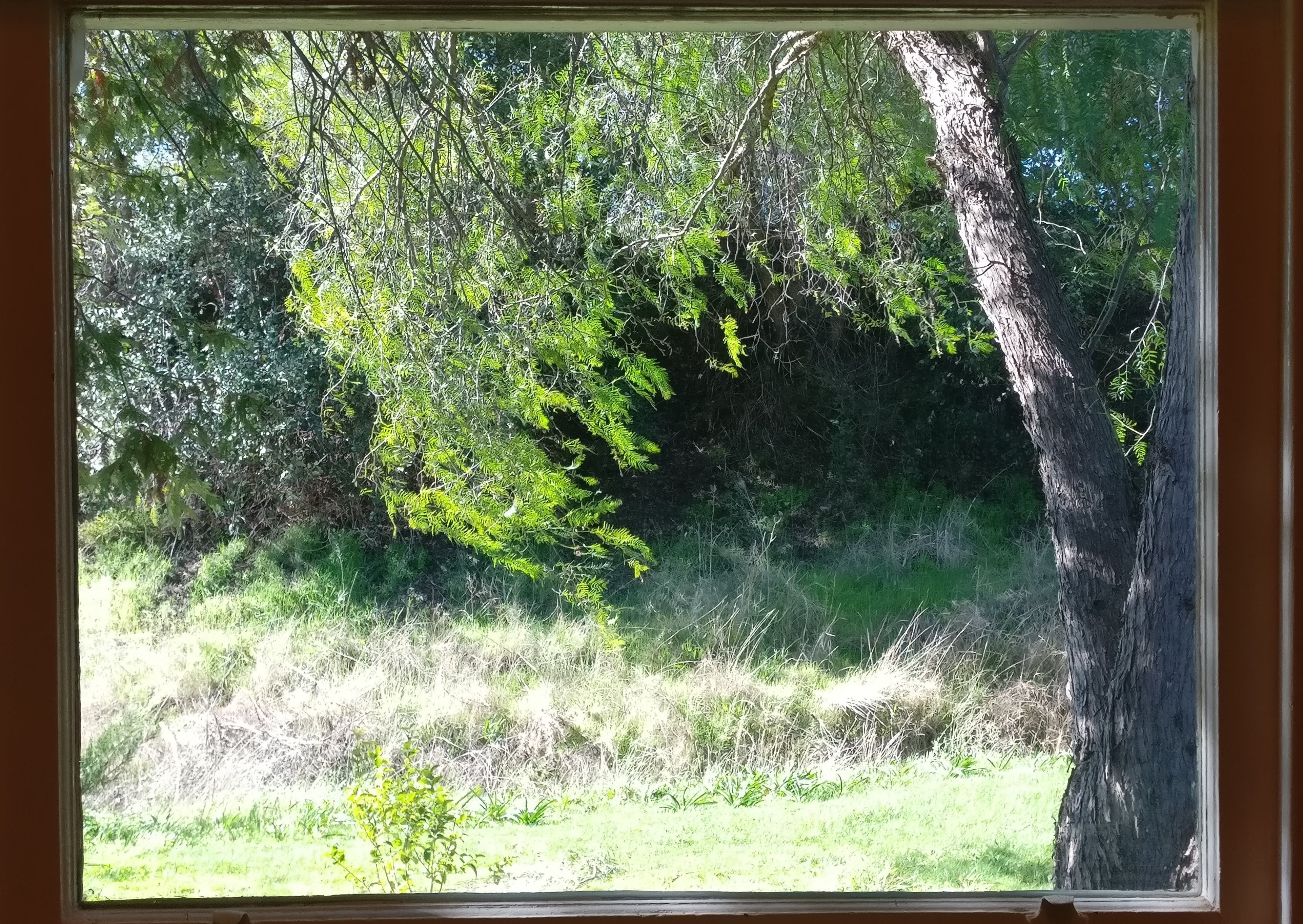 Garden View Castlemaine