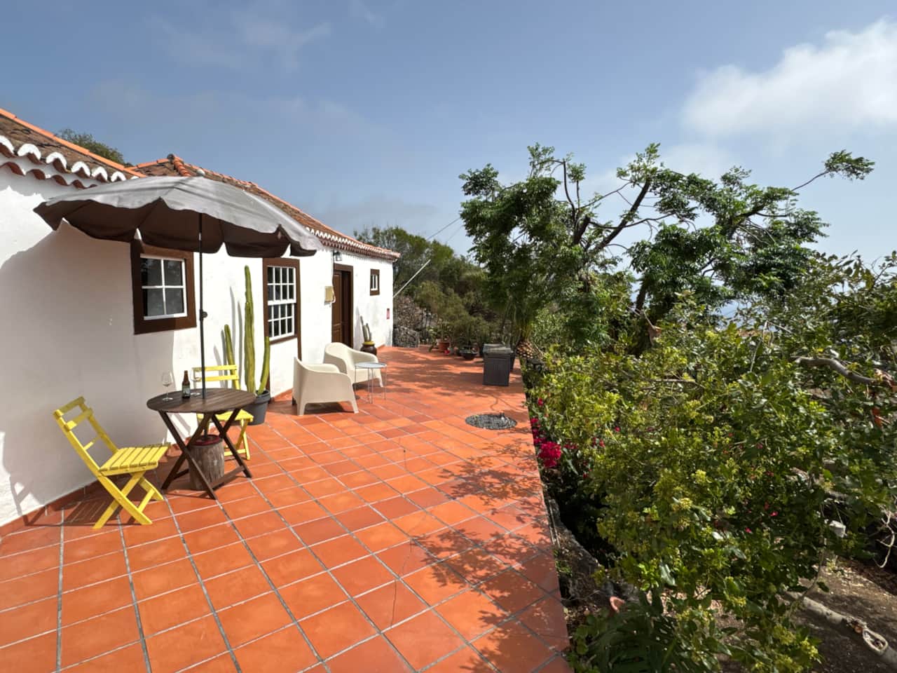 TERRAZA 1
