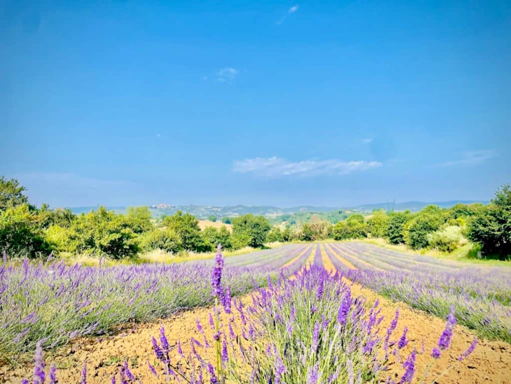 C13D2A58 FB91 4BDC 967C F9ECA2E7B5A8 1 105 c C13D2A58 FB91 4BDC 967C F9ECA2E7B5A8 1 105 c