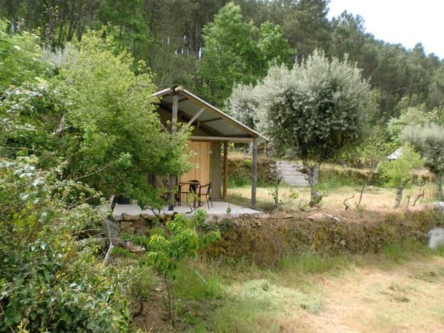 Tent 1 Azië in de zomer