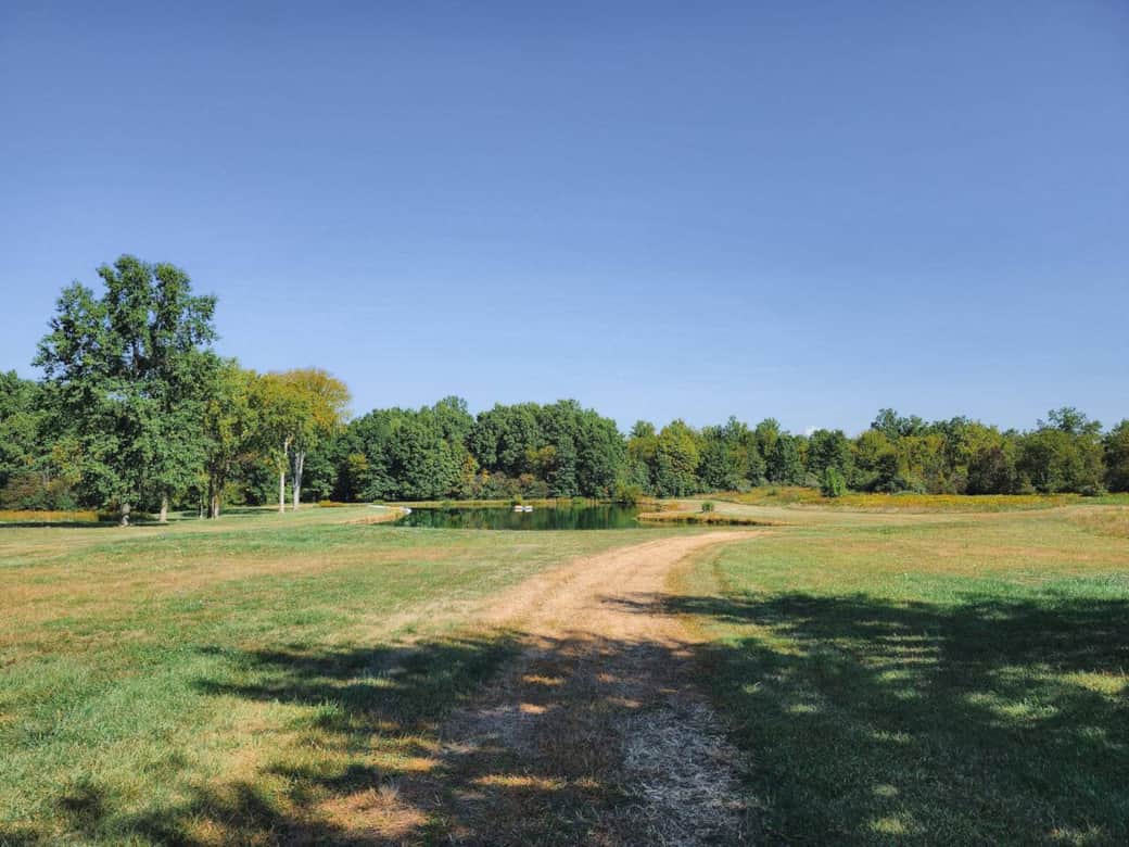 The pond provides a scenic, peaceful view of nature. Located a couple hundred feet from the house, it's a safe distance for children.
