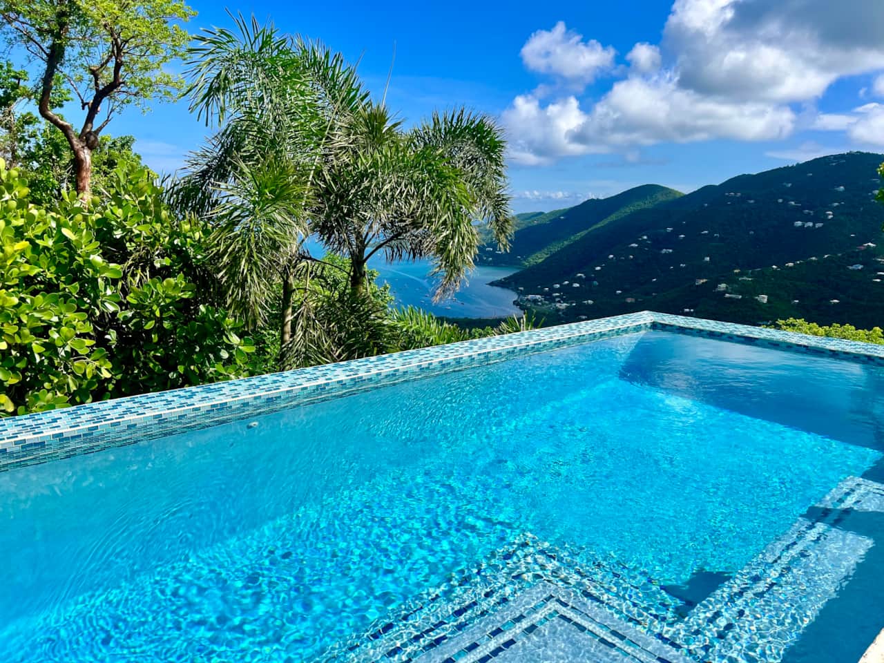 Tropical Manor pool