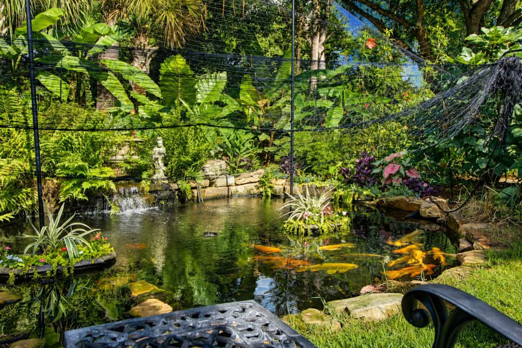 Koi Pond