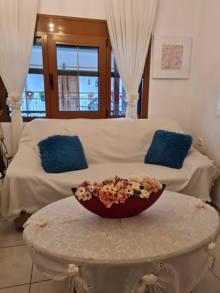 Anna Maria Family House 2