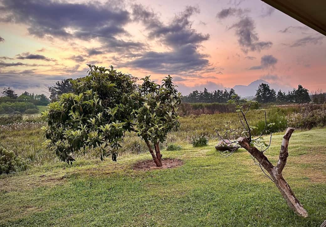 Cd147127 69ec 446b 91d6 8bead9404fec