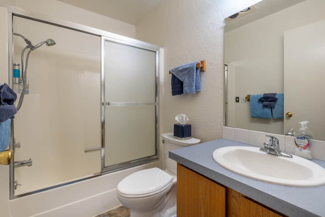 Step-in tub/shower in master bathroom.