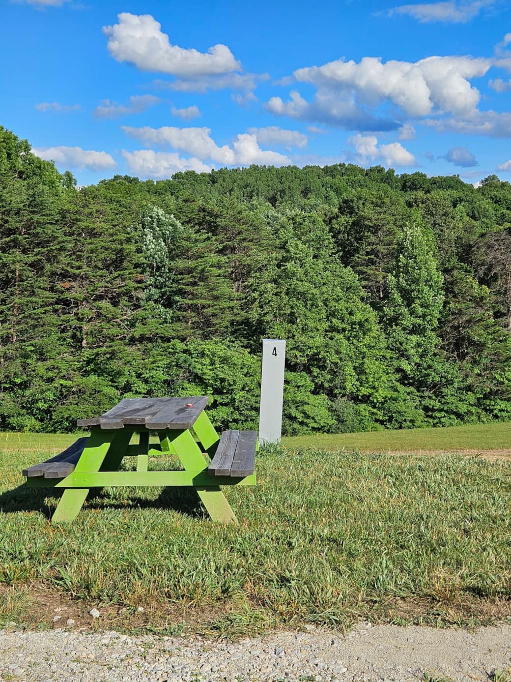 Site 4