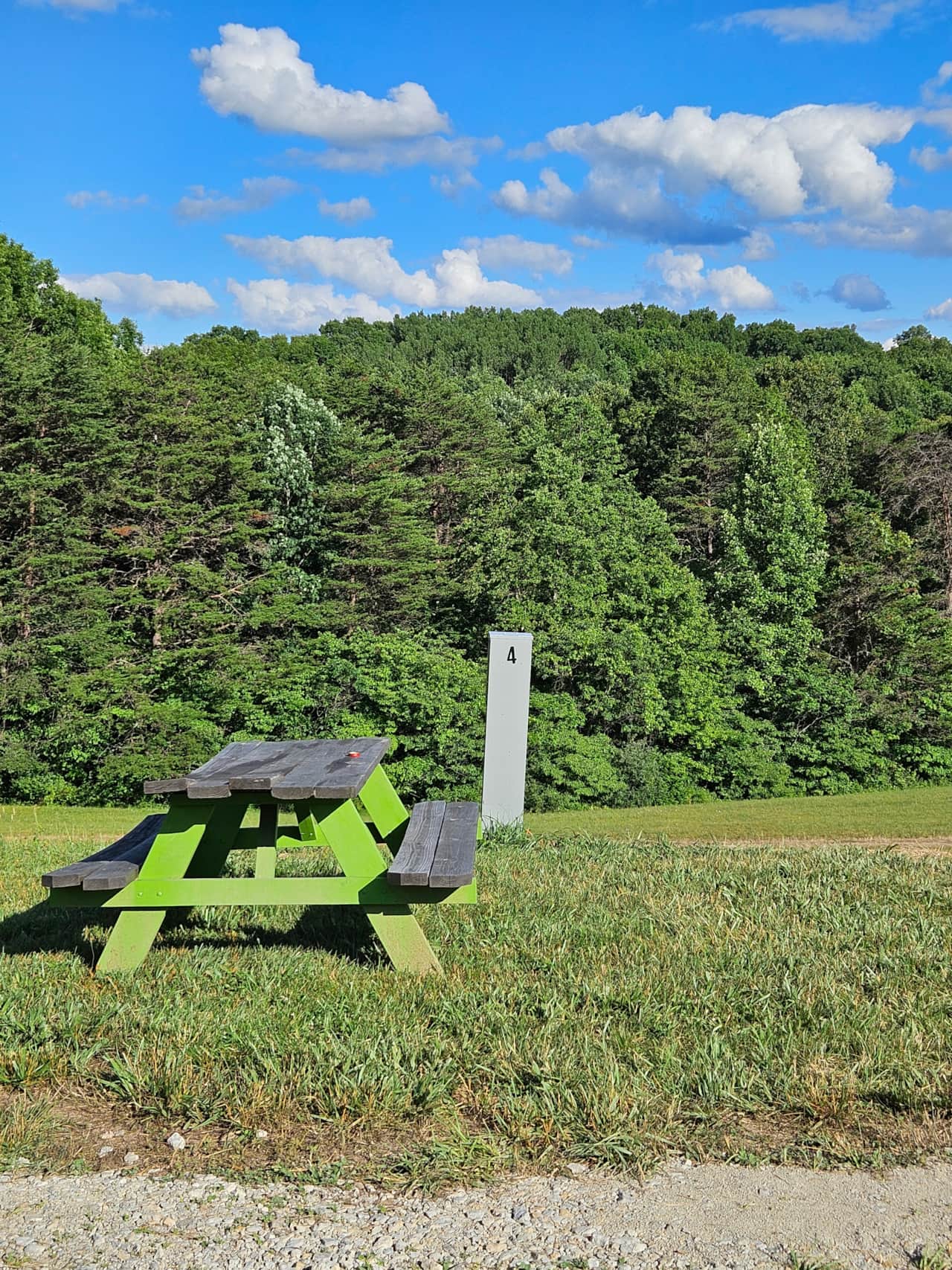 Site 4