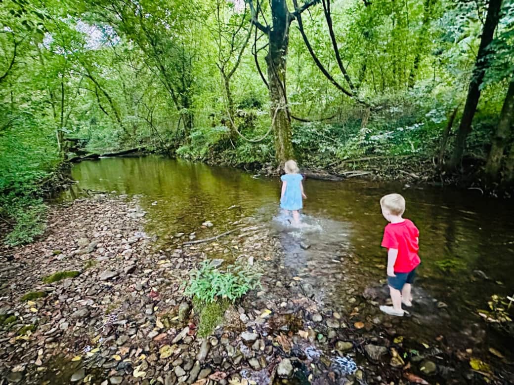 Private creek right on property for the kids to play Private creek right on property for the kids to play