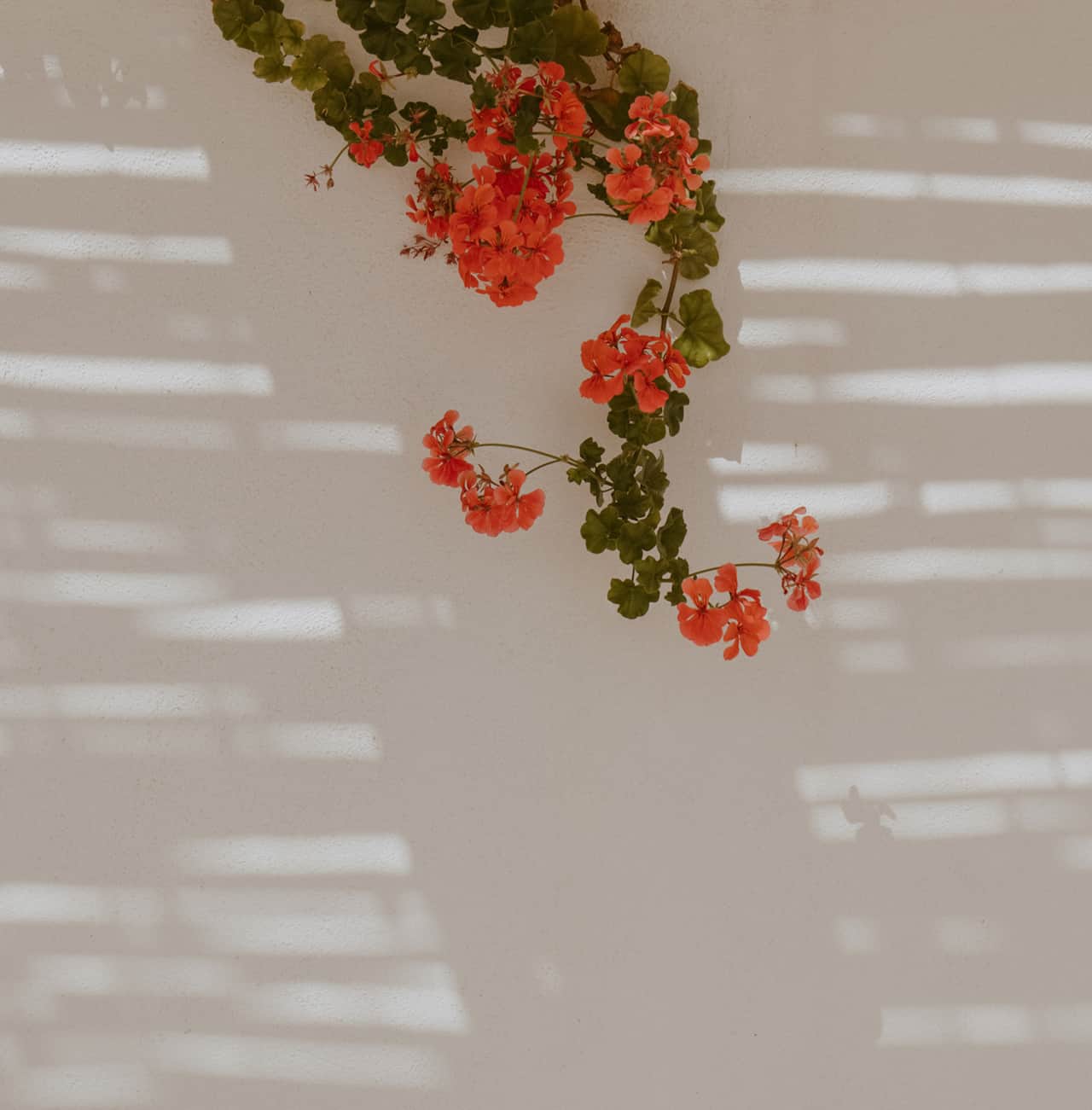 3rd floor - flowers detail