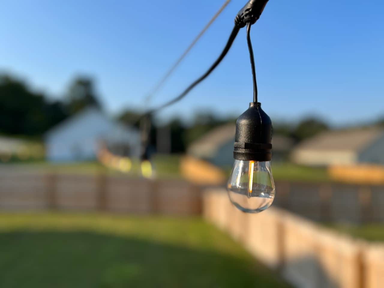Backyard String Lights
